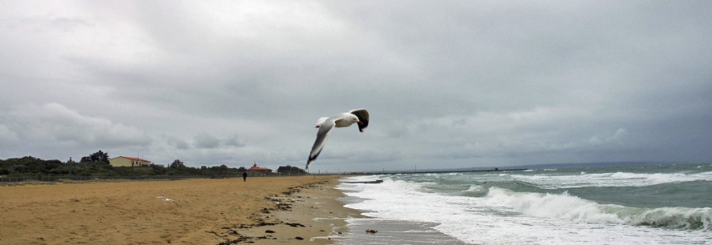 In the air over Mordialloc beach